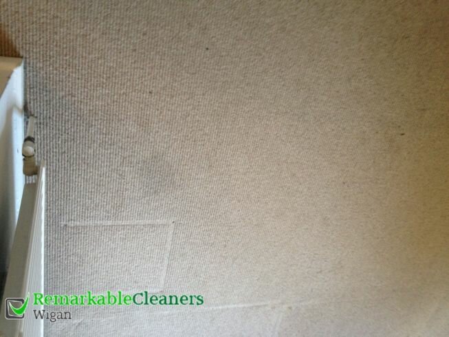 Remarkable Carpet Cleaning